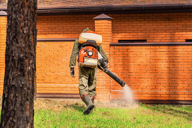 Bed Bug Clearance Verification and Documentation in Union Gap
